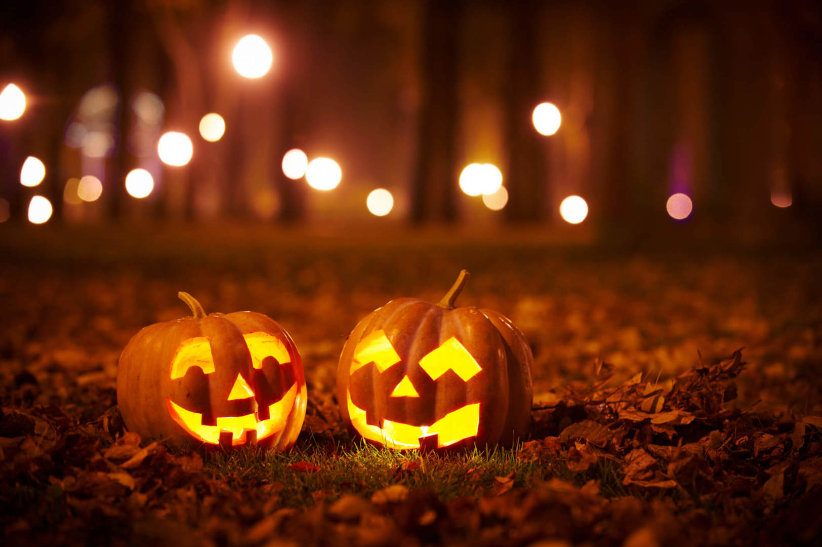 Carved pumpkins on garden