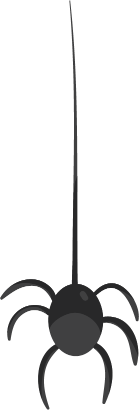 spiderAsset 3